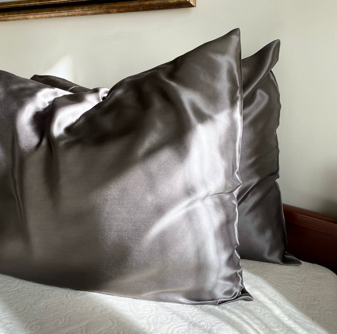 Silk Zippered Pillowcase - Grey Shadow